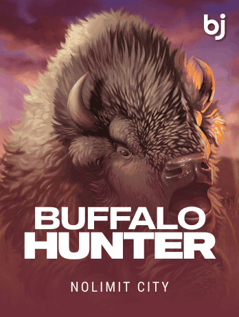 Buffalo Hunter screenshot